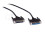 ILDA Cable Black 1m